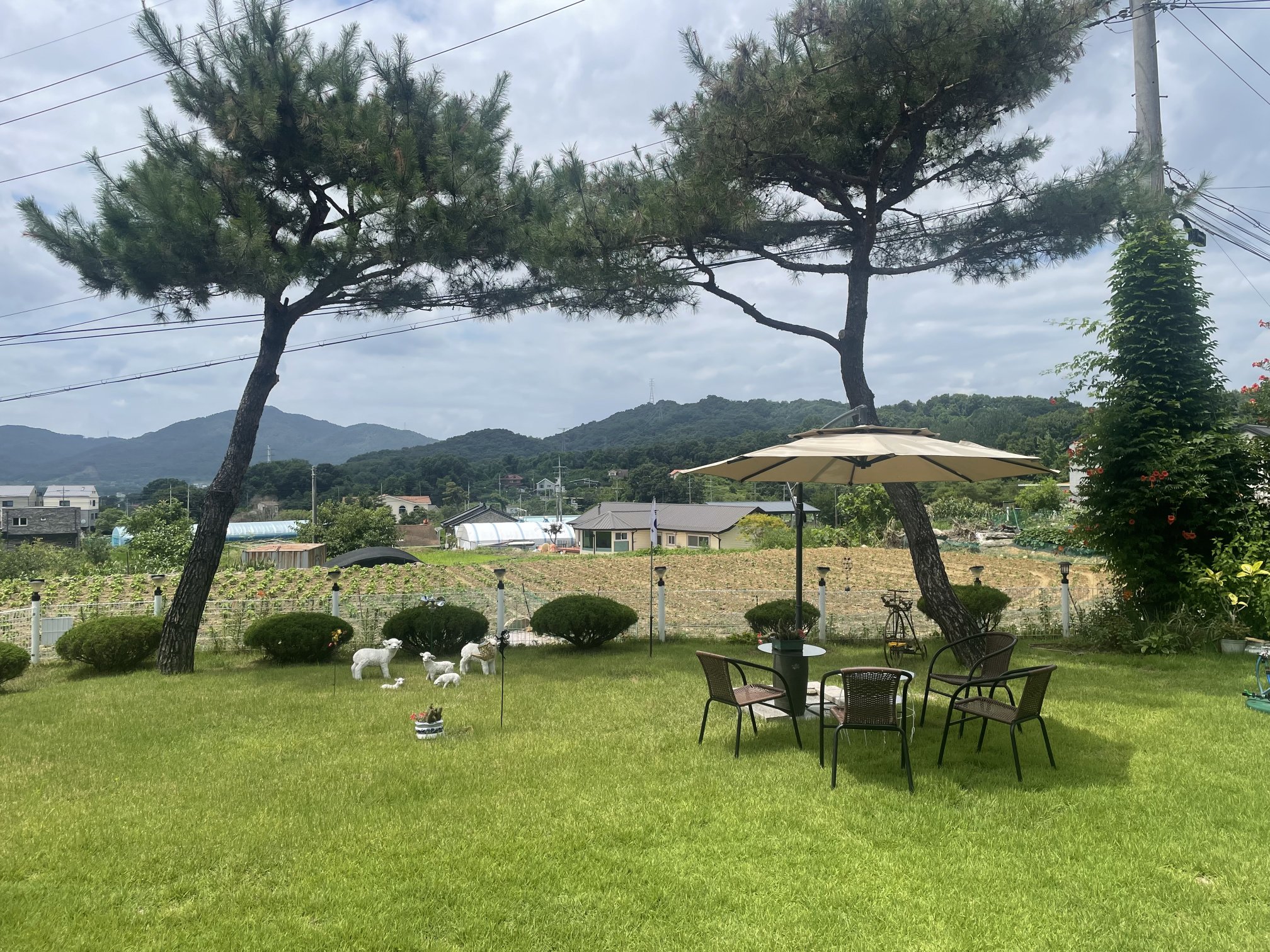 마당과 산이 보이는 하루